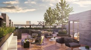 durango807 view roof garden hq